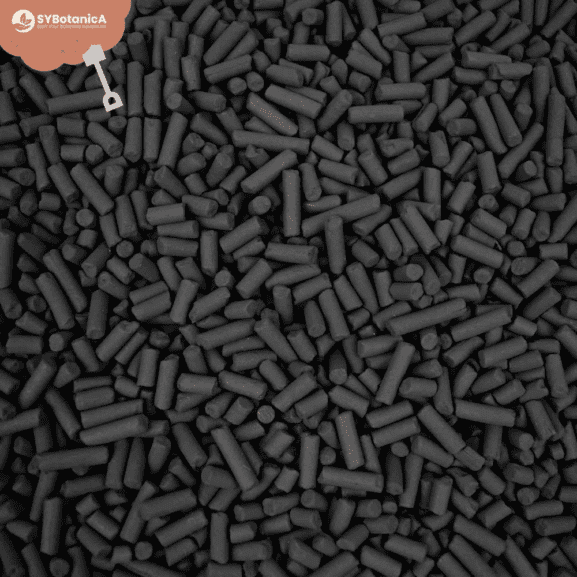 Aktyvinta anglis (activated charcoal)