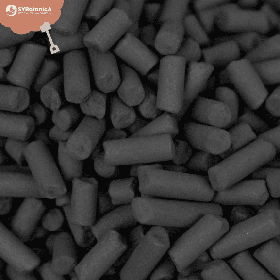 Aktyvinta anglis (activated charcoal)